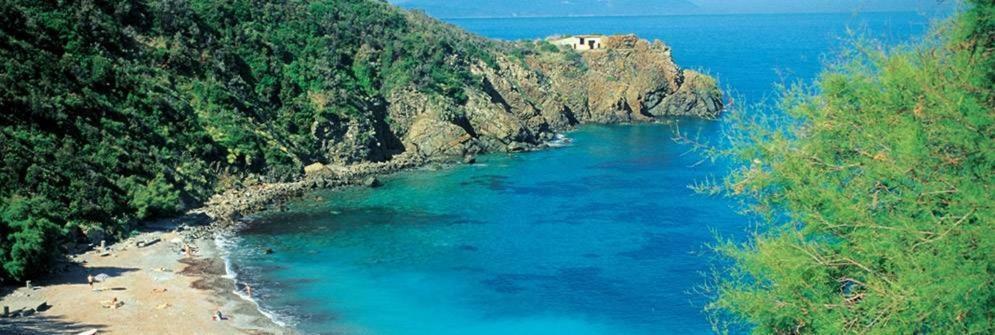 La Rosa Dei Venti Daire Piombino Dış mekan fotoğraf